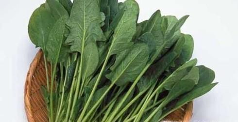 自然阳光：南瓜和什么食物相克呢？