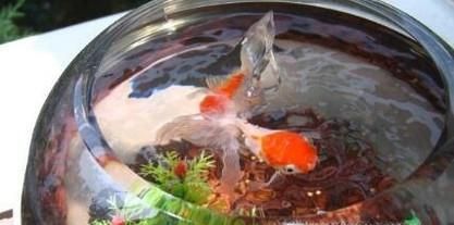 不可思议！空调流出来的水竟有这么多妙用！