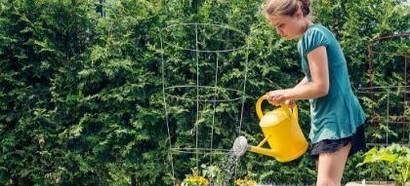 不可思议！空调流出来的水竟有这么多妙用！