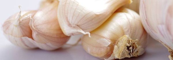 干蒜可以泡糖醋蒜吗