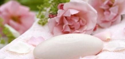 教你怎样去除房间里的各种异味？