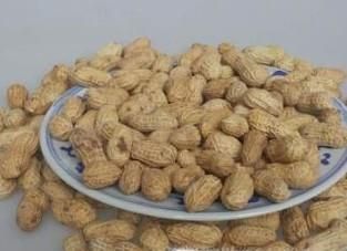 带壳新鲜花生怎么保存