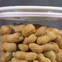 带壳新鲜花生怎么保存