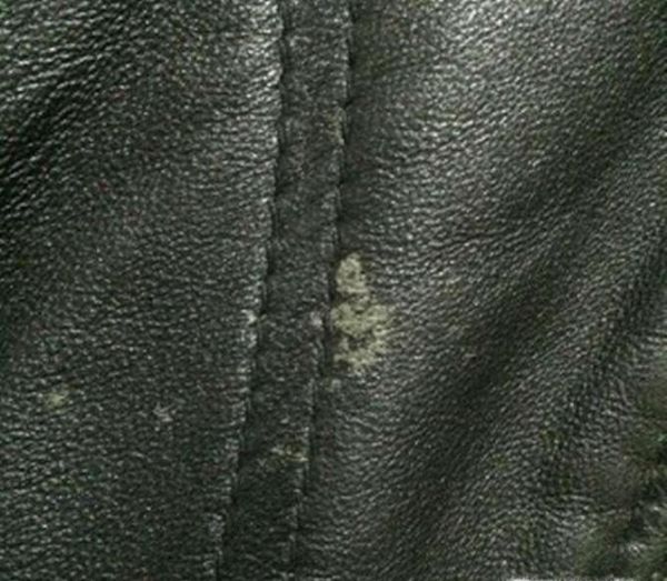 皮衣放太久发霉怎么处理