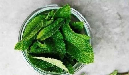 怎样驱赶蚊子？