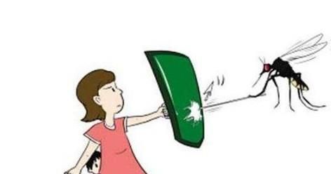 怎样驱赶蚊子？