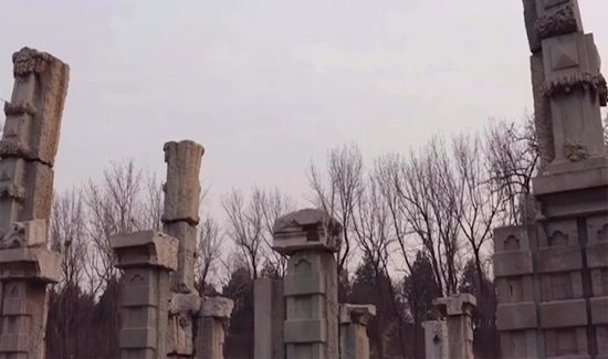 万园之园指的是哪个园