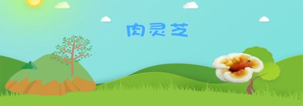 太岁是什么东西