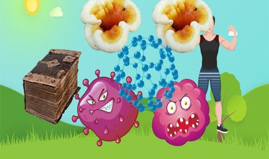 太岁是什么东西