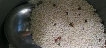 米虫满屋爬怎么消灭