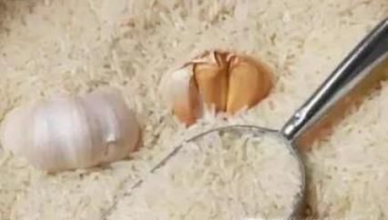 米虫满屋爬怎么消灭