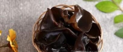 毛木耳与黑木耳哪个好