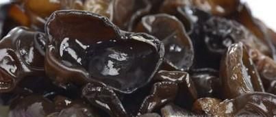 毛木耳与黑木耳哪个好