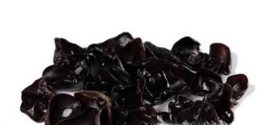 毛木耳与黑木耳哪个好