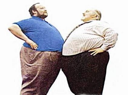 酵素粉的作用与功效