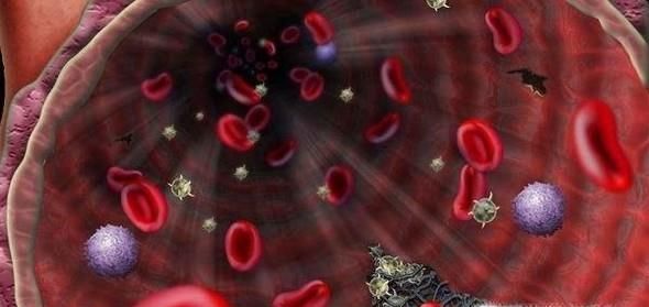 酵素粉的作用与功效