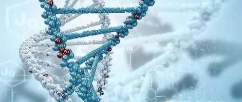 酵素粉的作用与功效