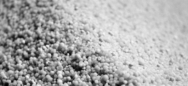 四季梅的养殖方法