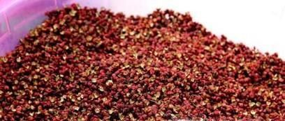 家里有蚂蚁怎么做能除根