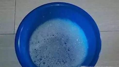 家里有蚂蚁怎么做能除根