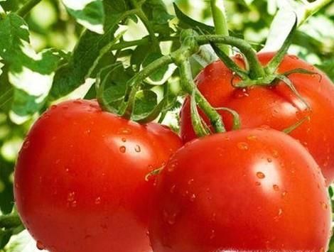 女生如何让胸部变大