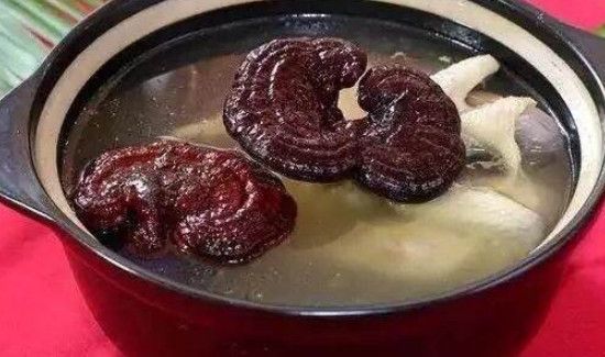 灵芝可以和红枣枸杞一起煲汤吗
