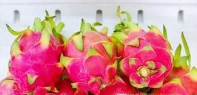 哪些人不适合吃火龙果