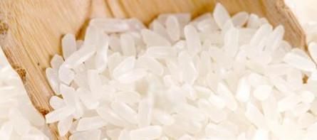 怎样清除塑料壶里的绿苔？