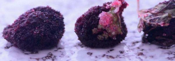 杨梅发霉长毛可以吃吗