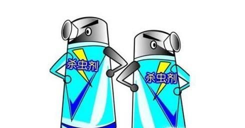 臭虫的天敌跟克是什么,如何除臭虫