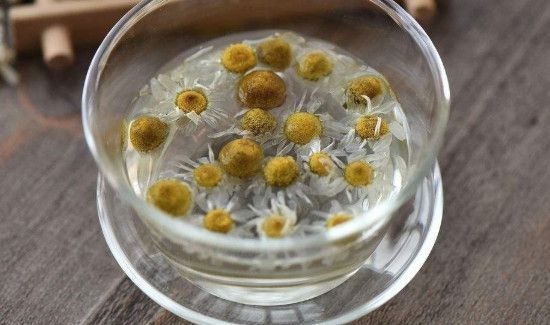 绿茶和菊花泡的禁忌