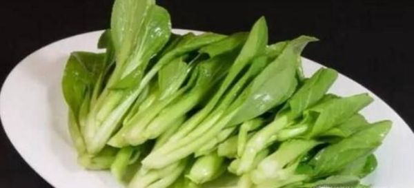 怎样挑选小白菜
