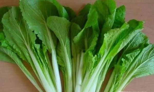 怎样挑选小白菜