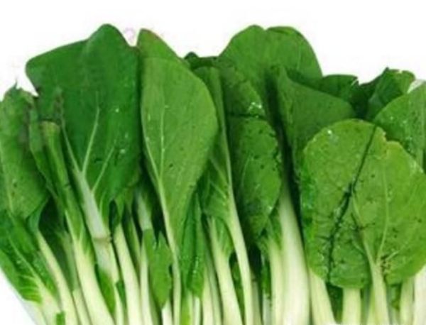 怎样挑选小白菜