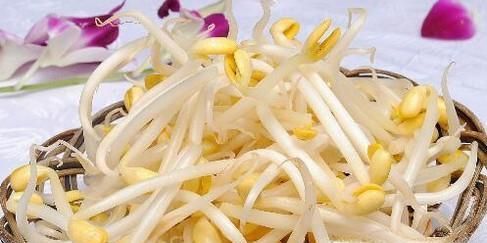 豆芽怎么保存过夜