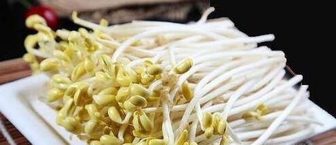 豆芽怎么保存过夜