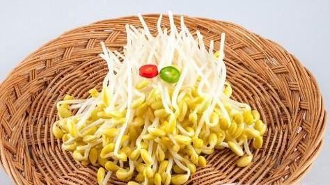 豆芽怎么保存过夜