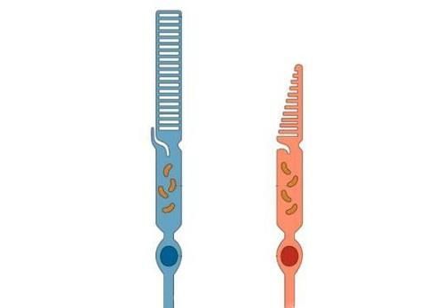 狗狗眼中的世界是怎样的