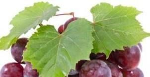 吃葡萄对身体有什么好处