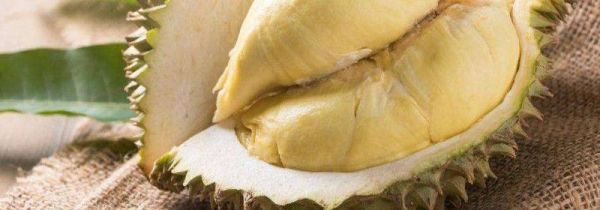 榴莲一天可以吃几瓣