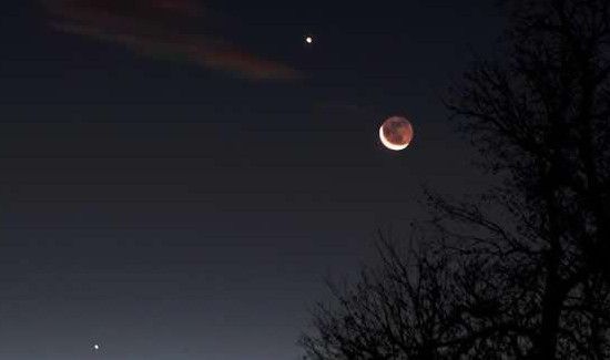 启明星是什么星座