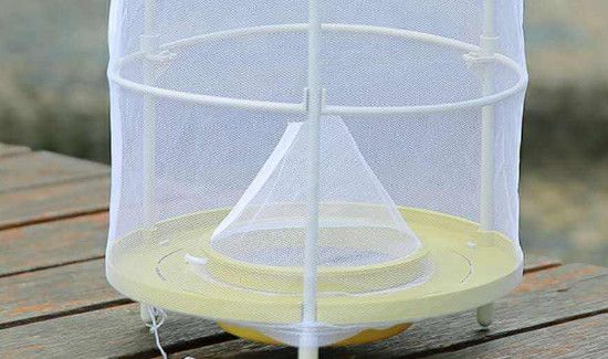 长期驱赶苍蝇的办法