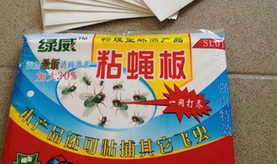 长期驱赶苍蝇的办法