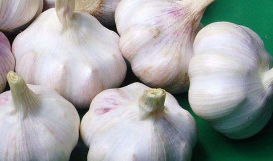 半夜没有蚊香怎么驱蚊