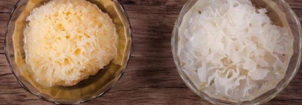 银耳可以替代燕窝吗