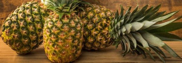 燕窝不能和什么一起吃