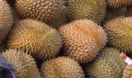 榴莲的功效与作用