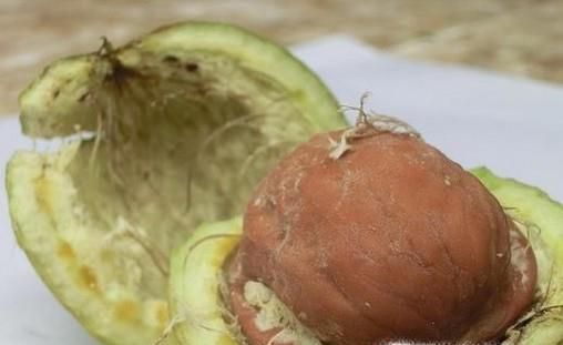 怎样剥核桃青皮