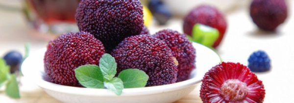 杨梅可以降火吗