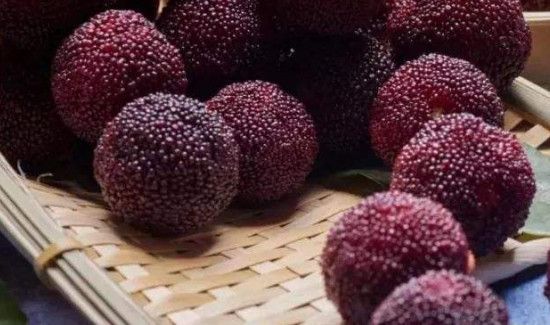 杨梅功效与作用